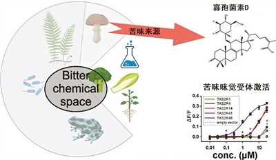 圖片關(guān)鍵詞