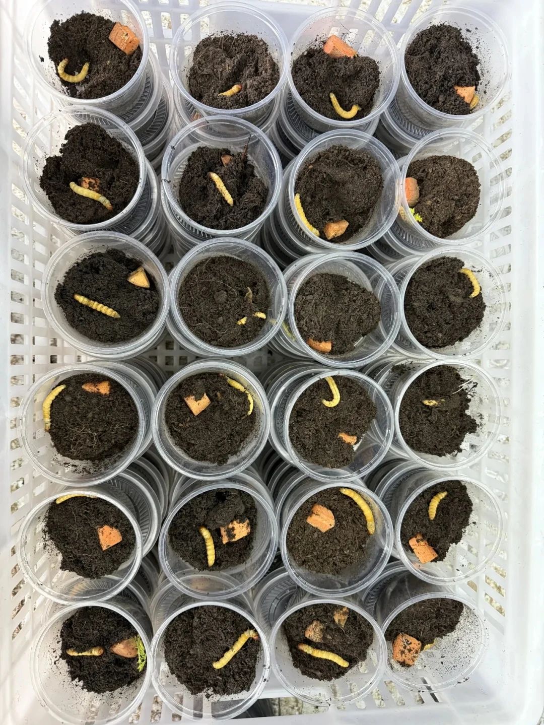 圖片關鍵詞 圖片關鍵詞