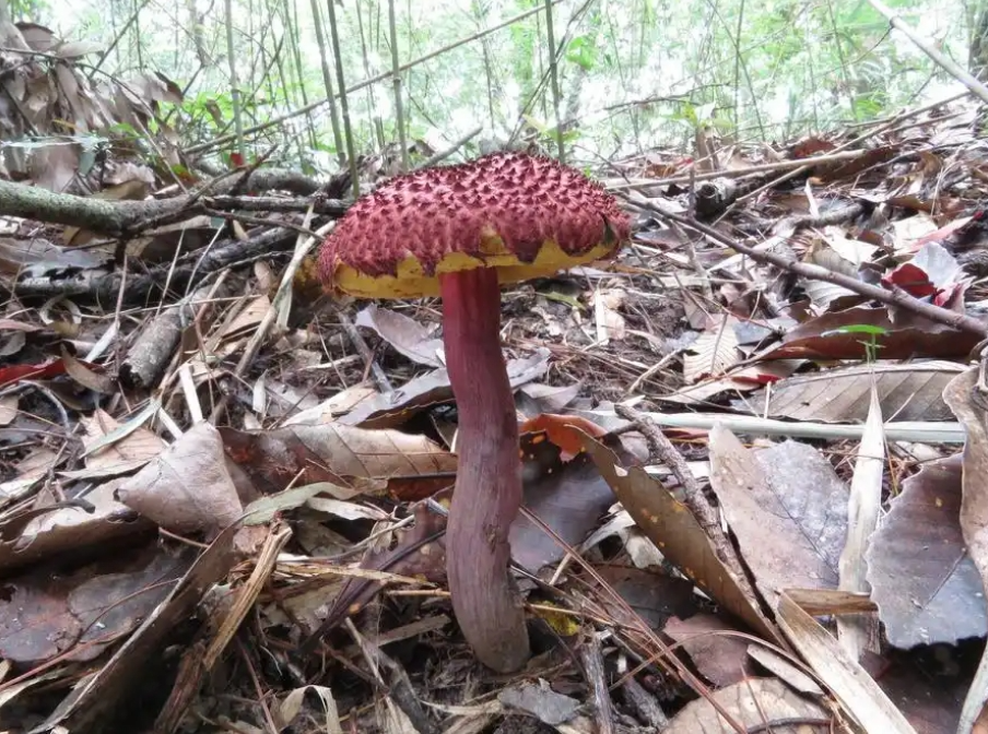 圖片關鍵詞 圖片關鍵詞