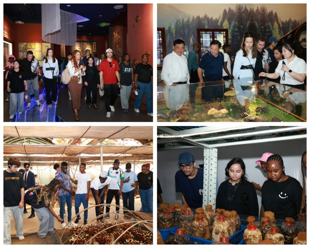 圖片關(guān)鍵詞