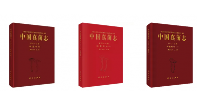 行業(yè)動態(tài)